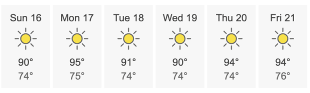 Hot temperatures in Indianapolis June 2024